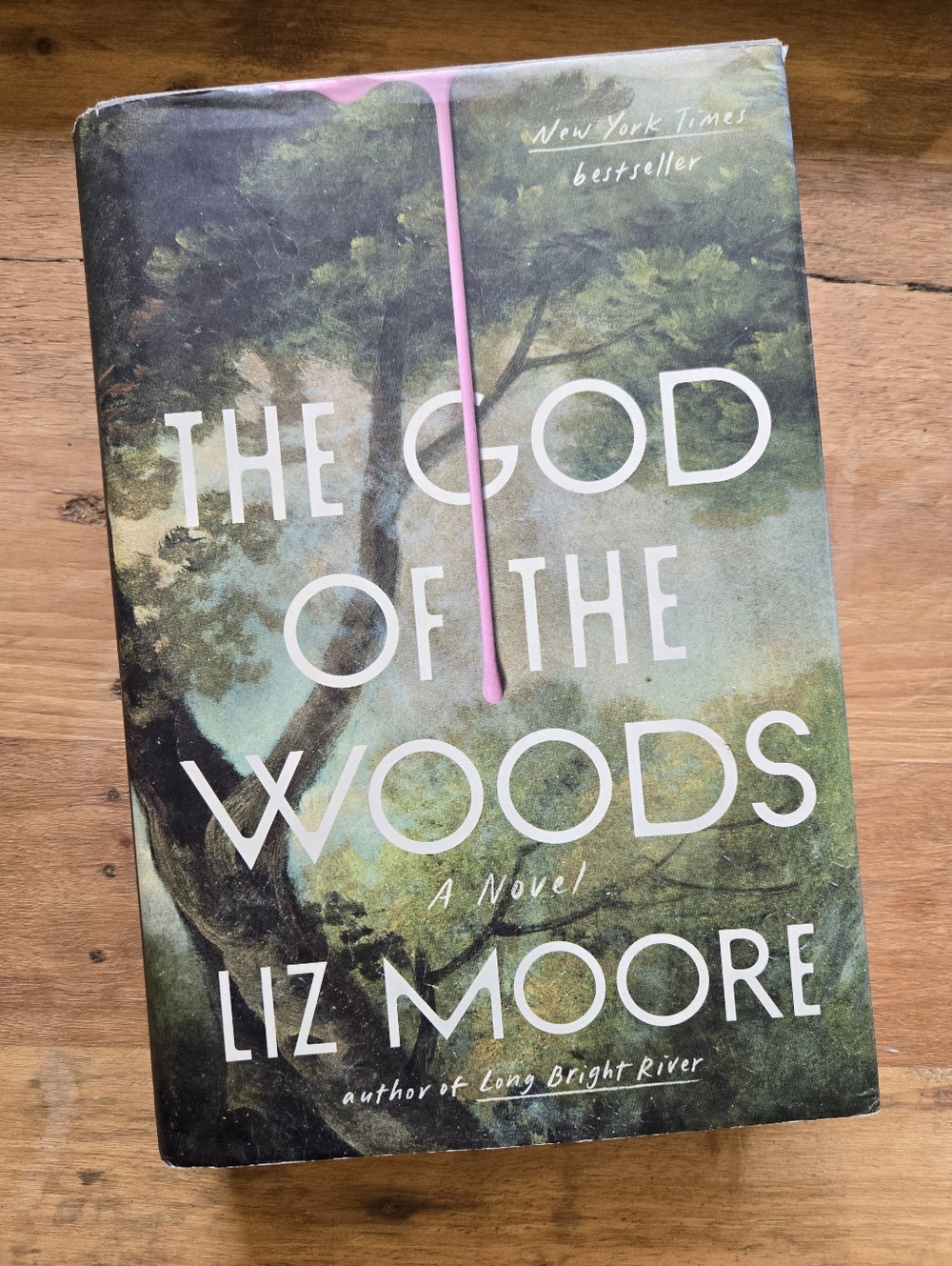 ✨ The God of the Woods Hardcover | Viral BookTok Mystery | Liz Moore 📚
